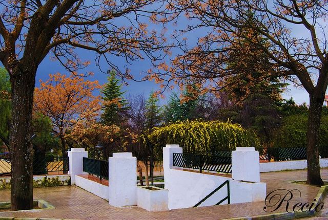 Parque 